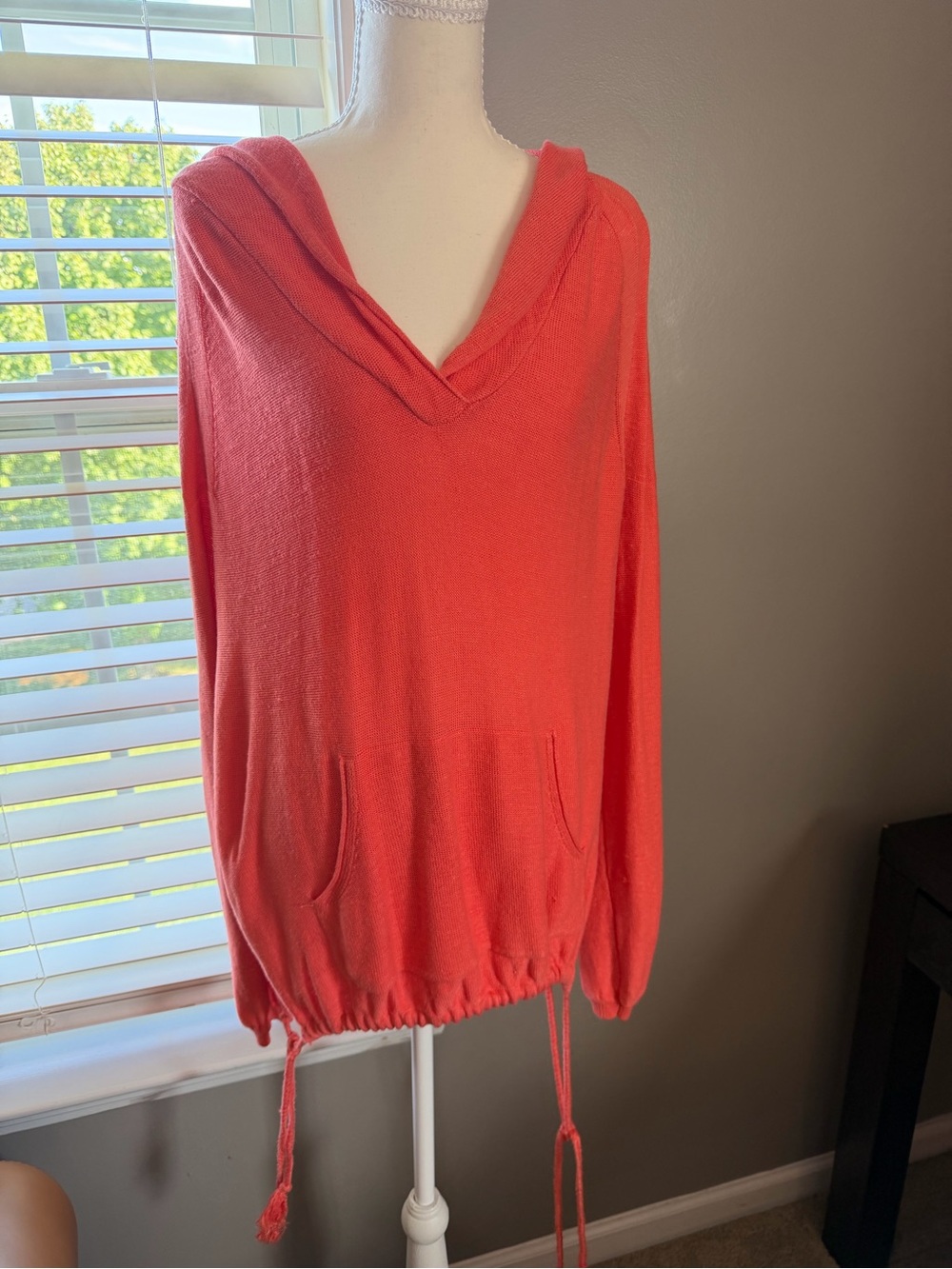 Free People Coral V-Neck Hoodie with Drawstring Hem